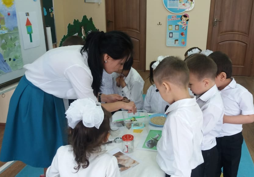 Жәндіктерді бақылау. «Балдырған» ортаңғы топ. Тәрбиеші: Сейсенбекова А.С