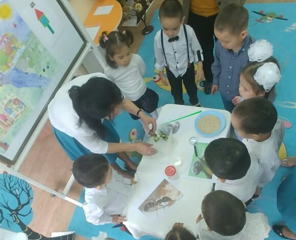 Жәндіктерді бақылау. «Балдырған» ортаңғы топ. Тәрбиеші: Сейсенбекова А.С